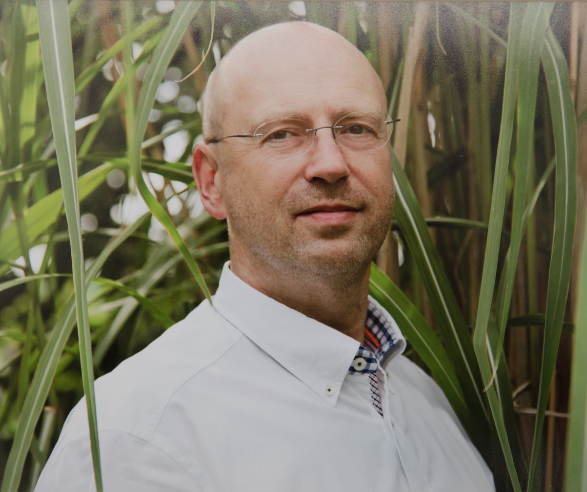 Foto Folkert Rasch Keitumer Schilf.jpg Folkert Rasch